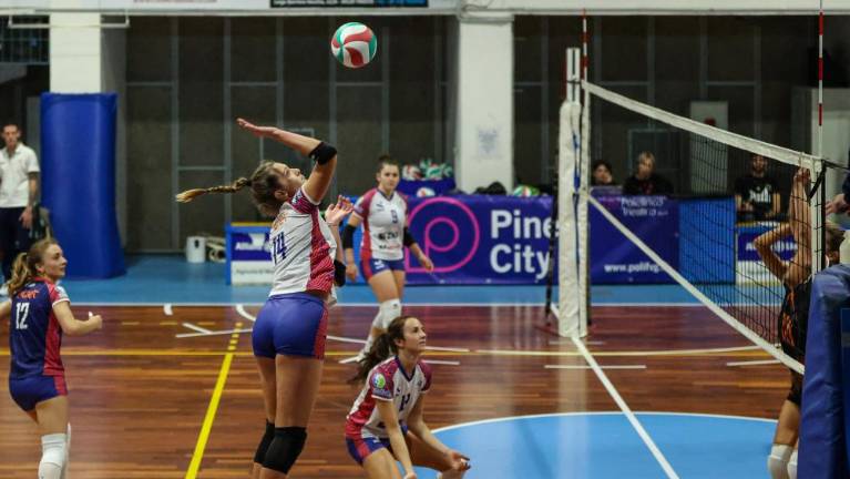 Zalet ZKB FerroJulia praznih rok