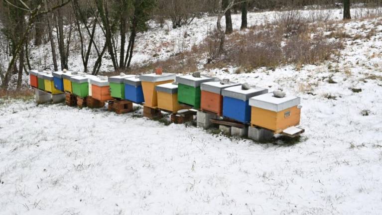 Po sneženju se razmere umirjajo