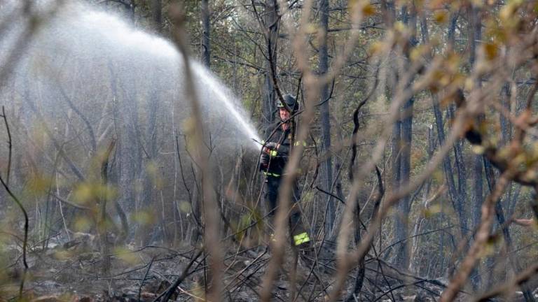 Požar je obvladan (video)