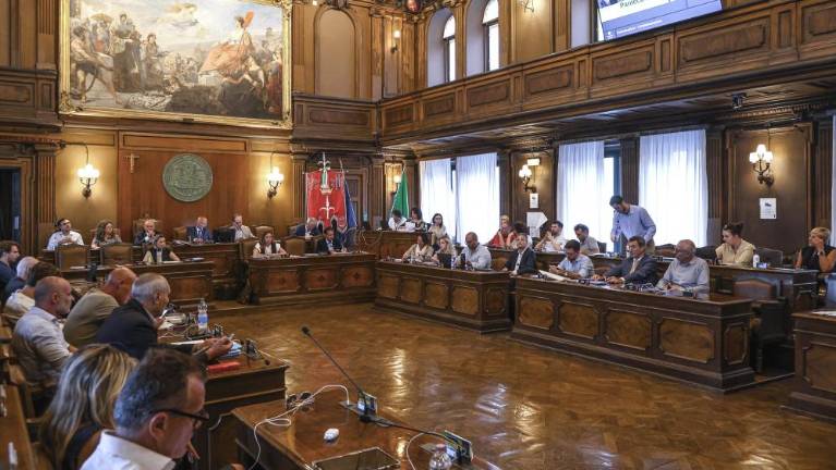 Leva sredina in Angela Brandi proti privatizaciji jasli