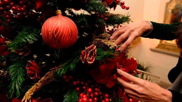 Z recikliranjem do novega življenja za božična drevesca