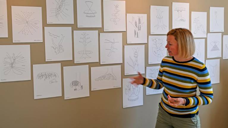 Od kod prihajajo Baba, Ajdi in Lintver