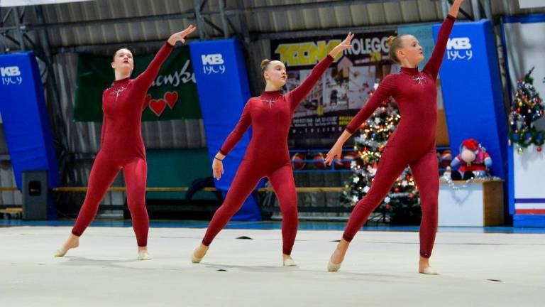 Tradicionalna Božična akademija Borovih ritmičark