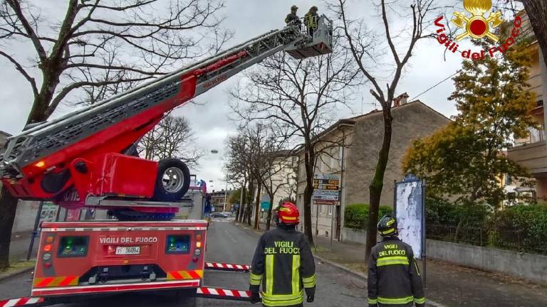 Veter povzroča težave v Gorici in okolici (FOTO)