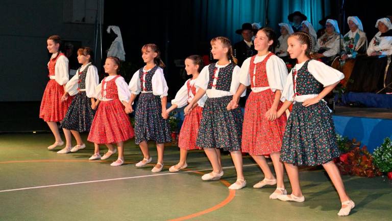 Slovensko kulturno društvo Rdeča zvezda iz Saleža praznovalo 80 let delovanja