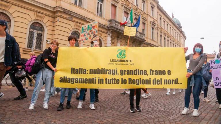 Podnebni štrajk v Gorici