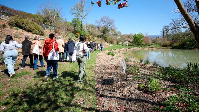 V vrtu Viatori v Gorici vrhunec cvetenja (foto)