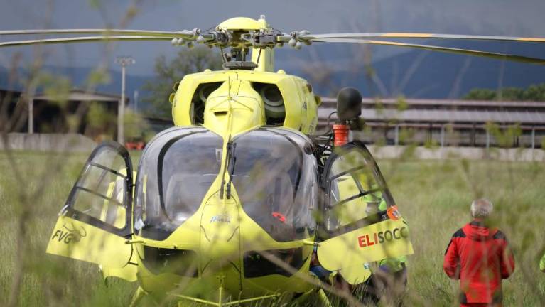 Med obrezovanjem padel z drevesa