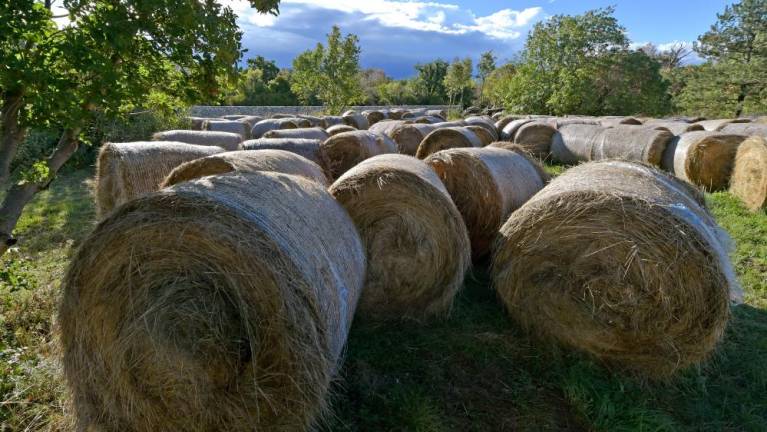 Slovensko ministrstvo za kmetijstvo bo podprlo zamejce