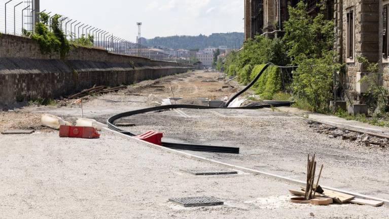 Do konca leta bo Staro pristanišče spet prevozno