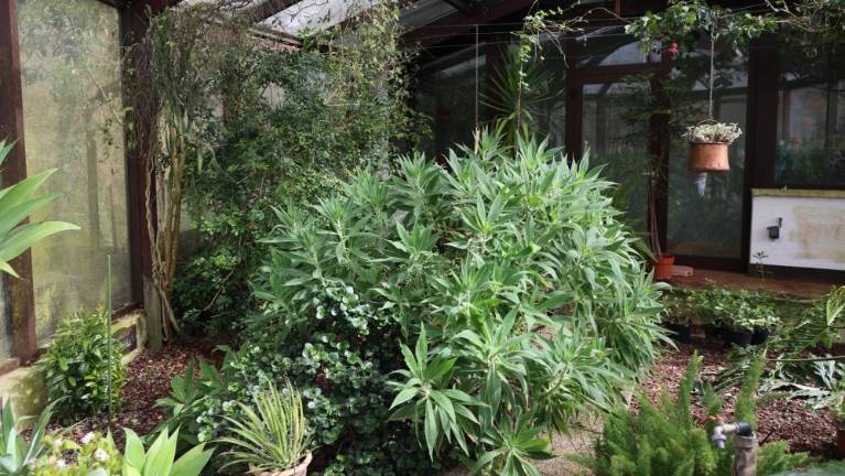 Vrt Viatori je zadehtel v pisanem cvetju