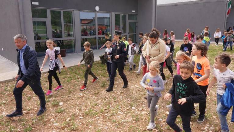 Beli gaber za zdravje