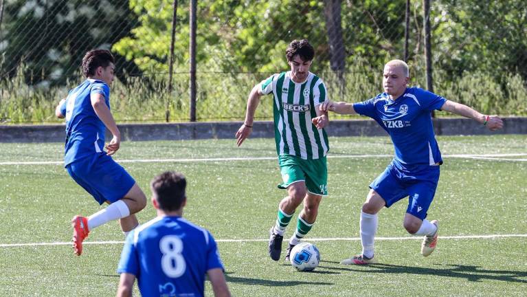 Danes v prilogi Šport plus