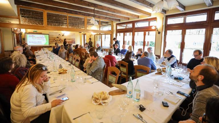 S stripom na čezmejno potovanje po Krasu