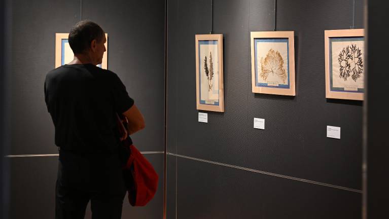 Carlo de Marchesetti: Človek tisočerih interesov in neizmernega znanja