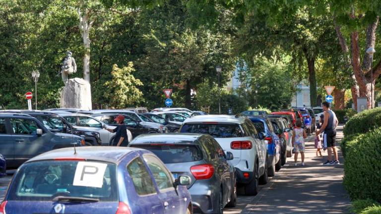 Dela je v Gorici še veliko