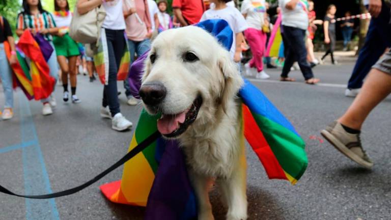 Parada ponosa prispela na skupni trg obeh Goric (foto in video)