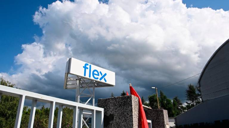 Za Flex naj bi se zanimali slovaška in izraelska družba