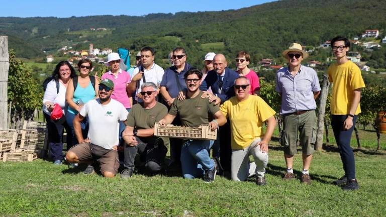 Oranžni grozd prevzela kmetija Primosic