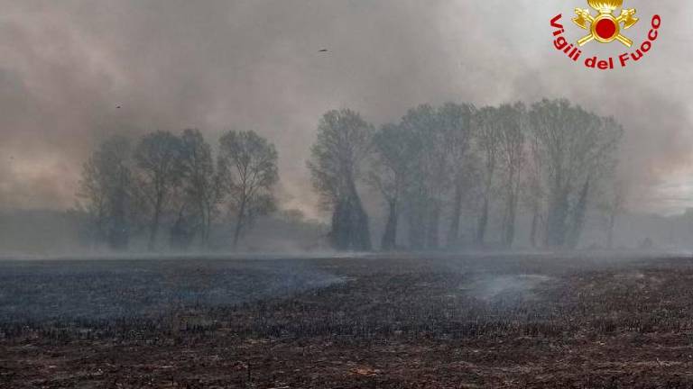 Silovit požar v Fiumicellu, na delu več gasilskih ekip in helikopterja