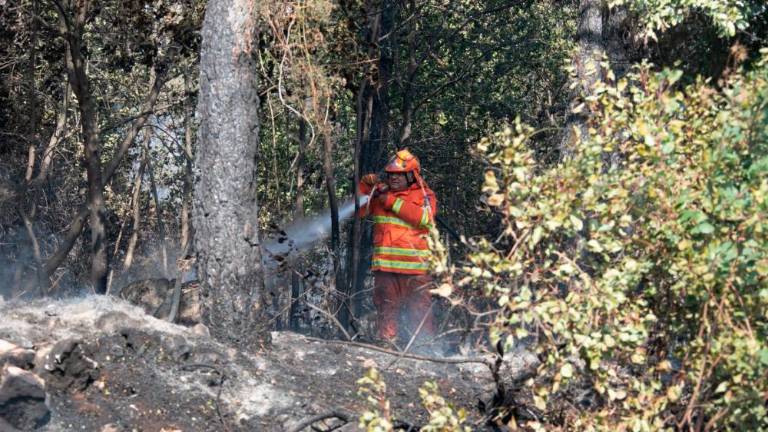 Požar pod nadzorom (foto in video)