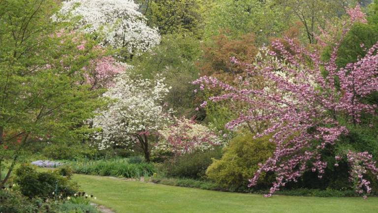 Po obnovi vrta še nove pešpoti in namakalni sistem