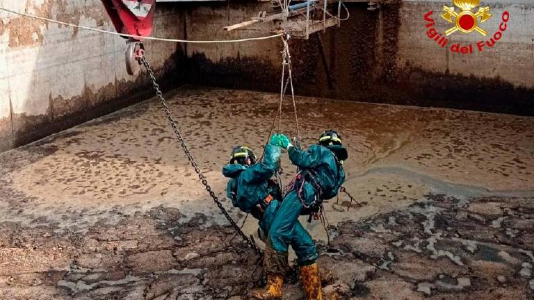 Krava tvegala utopitev v gnojnični jami