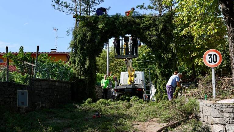 Kraška ohcet stopa v živo