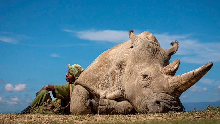 Slovenec popotniški fotograf leta 2022