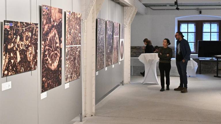 Umetnine, skrite v kraškem kamnu