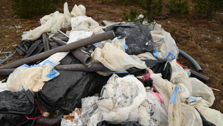 Na Kras prihajajo karabinjerji na konjih