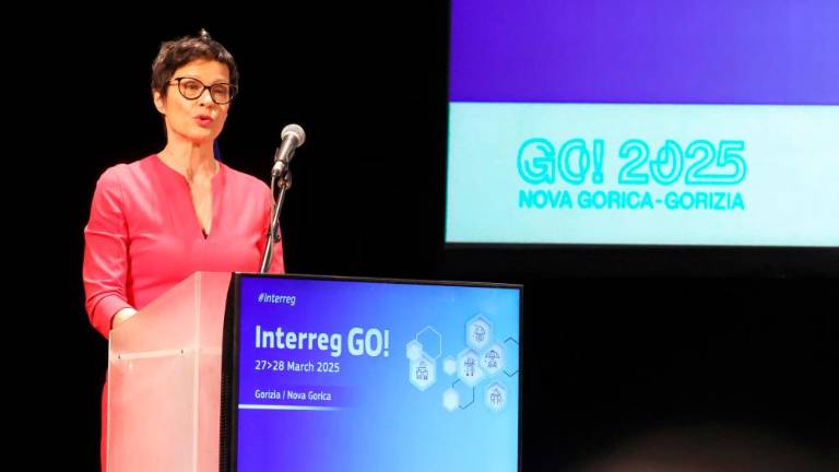 Slovenija zelo spodbuja širitev EU, postopki pa so seveda zapleteni