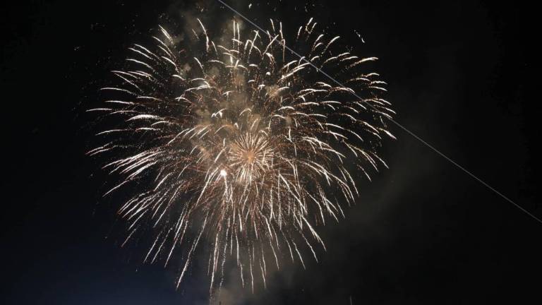 Na Goriškem bogat veliki šmaren