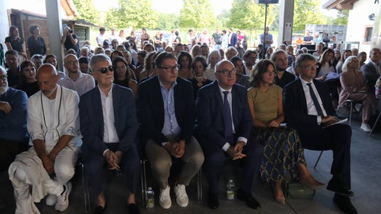 Mejo brišejo tudi v briških vinogradih