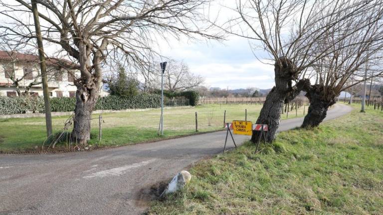 Stare murve si zaslužijo zaščito