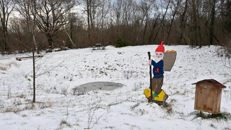 Ponekod na Kraški planoti danes beležijo ledeni dan, noč bo mrzla