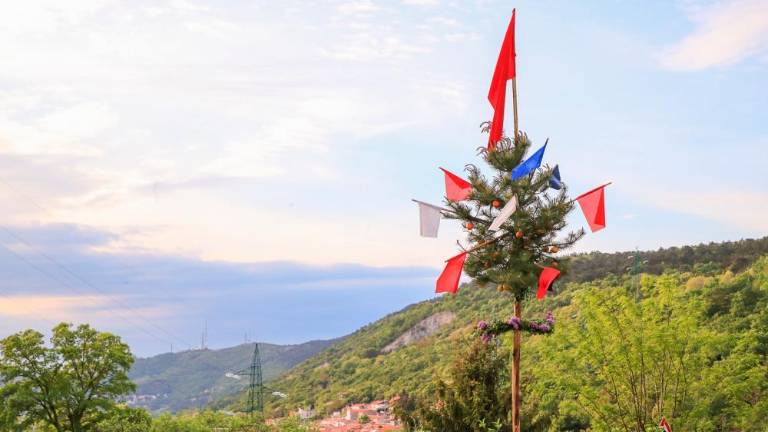 1. maj v Dolini, Zgoniku, Lonjerju in Gropadi