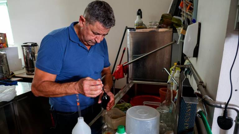 Trgatev belih sort ponekod že končali, drugod jo šele začenjajo