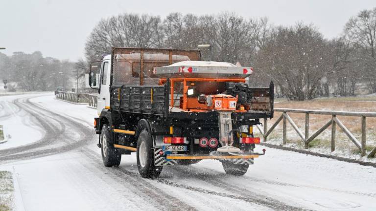 V sredo bodo v tržaški občini šole zaprte