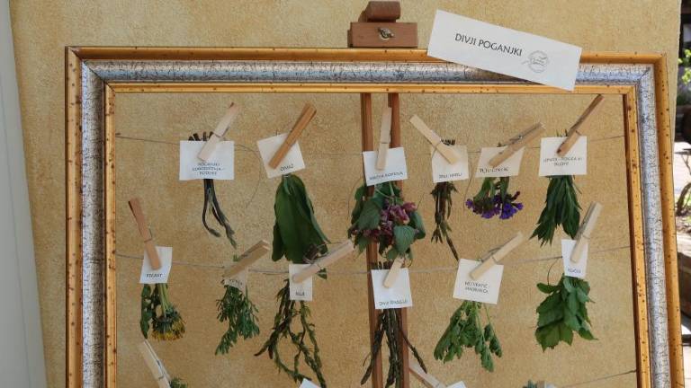 Z znamko Brdalicious za celoletni turistični produkt