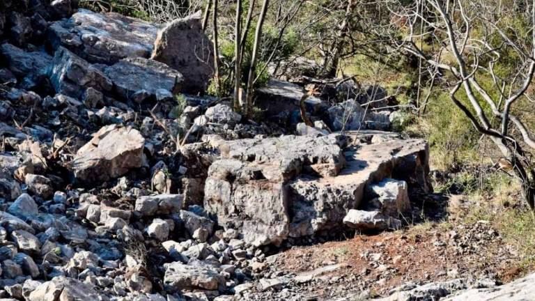 S stene zgrmela 20-metrska plošča