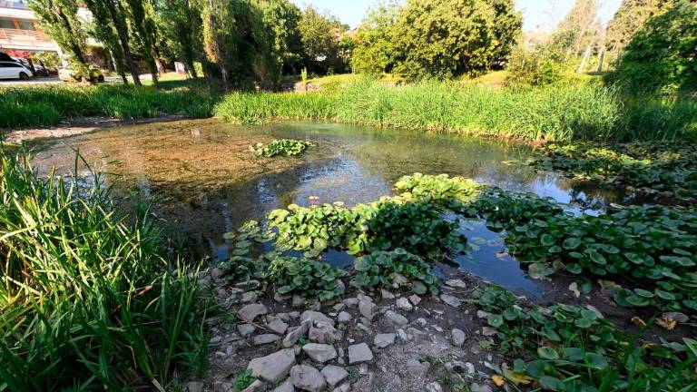 V kontovelsko Mlako danes nepričakovano začeli dolivati vodo