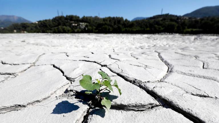 Alarm Copernicusa: Evropa se segreva najbolj od vseh celin