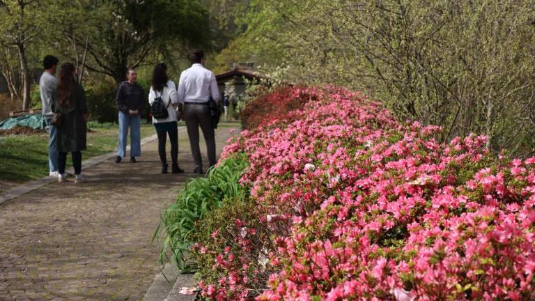 Vrt Viatori je zadehtel v pisanem cvetju