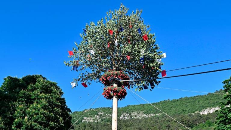 Majenca parterjev in parterc