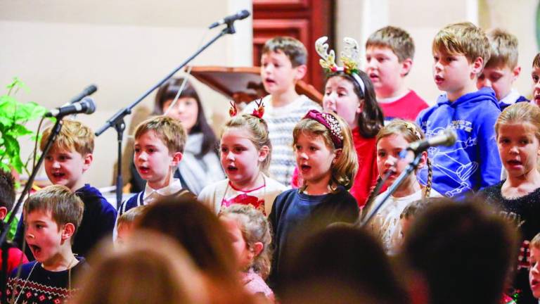 Donele so zimzelene in božične pesmi