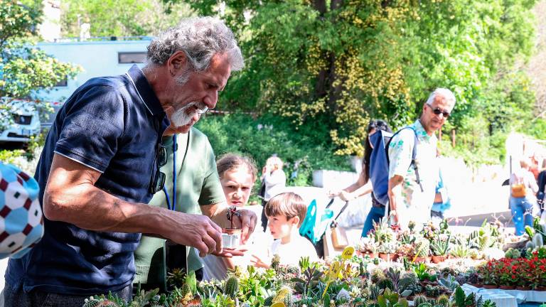 Jubilejni cvetlični sejem Horti Tergestini privabil številne obiskovalce