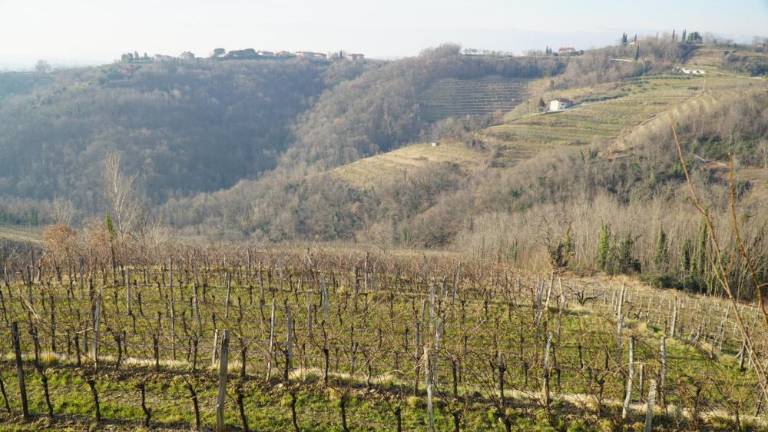 Razpis za hotele s 4 zvezdami bo zajel tudi Brda