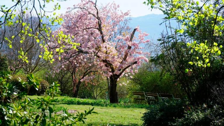 Kljub obnovitvenim delom vreden obiska