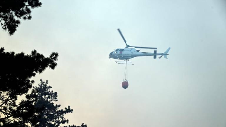 Požari na goriškem Krasu povečini pod nadzorom (video)